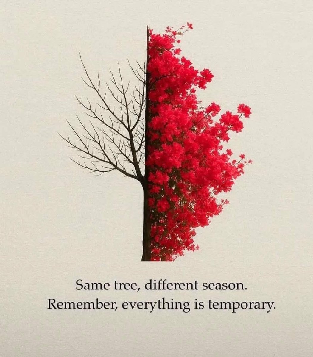 mindfulmaven_'s tweet photo. https://t.co/hnNGXtFbP7