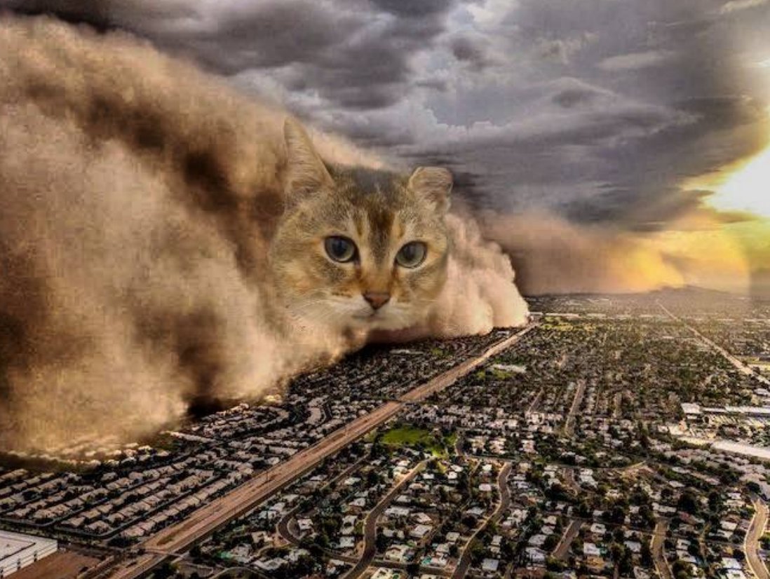 zer0xabood's tweet photo. a great storm is coming. https://t.co/VbegRMSM0s