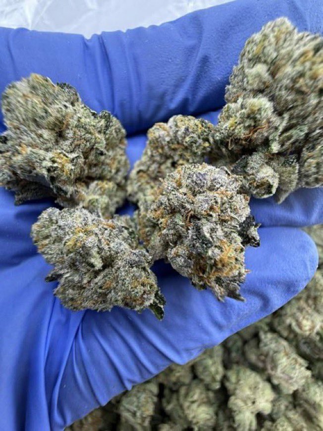 LiftedFlav788's tweet photo. TOP SHELF INDOOR EXOTIC CANDY WEED REAL ZAZA Cali kush buds flower THC Vape pen, Wilmington, Dover, Newark, Middletown, Smyrna, Milford
Burlington, Montpelier, Rutland, Brattleboro, Barre, St. Albans
Manchester, Nashua, Concord, Portsmouth,Keene,Dover
Hartford,Bridgeport;Stamford https://t.co/AmL6dzp2BG