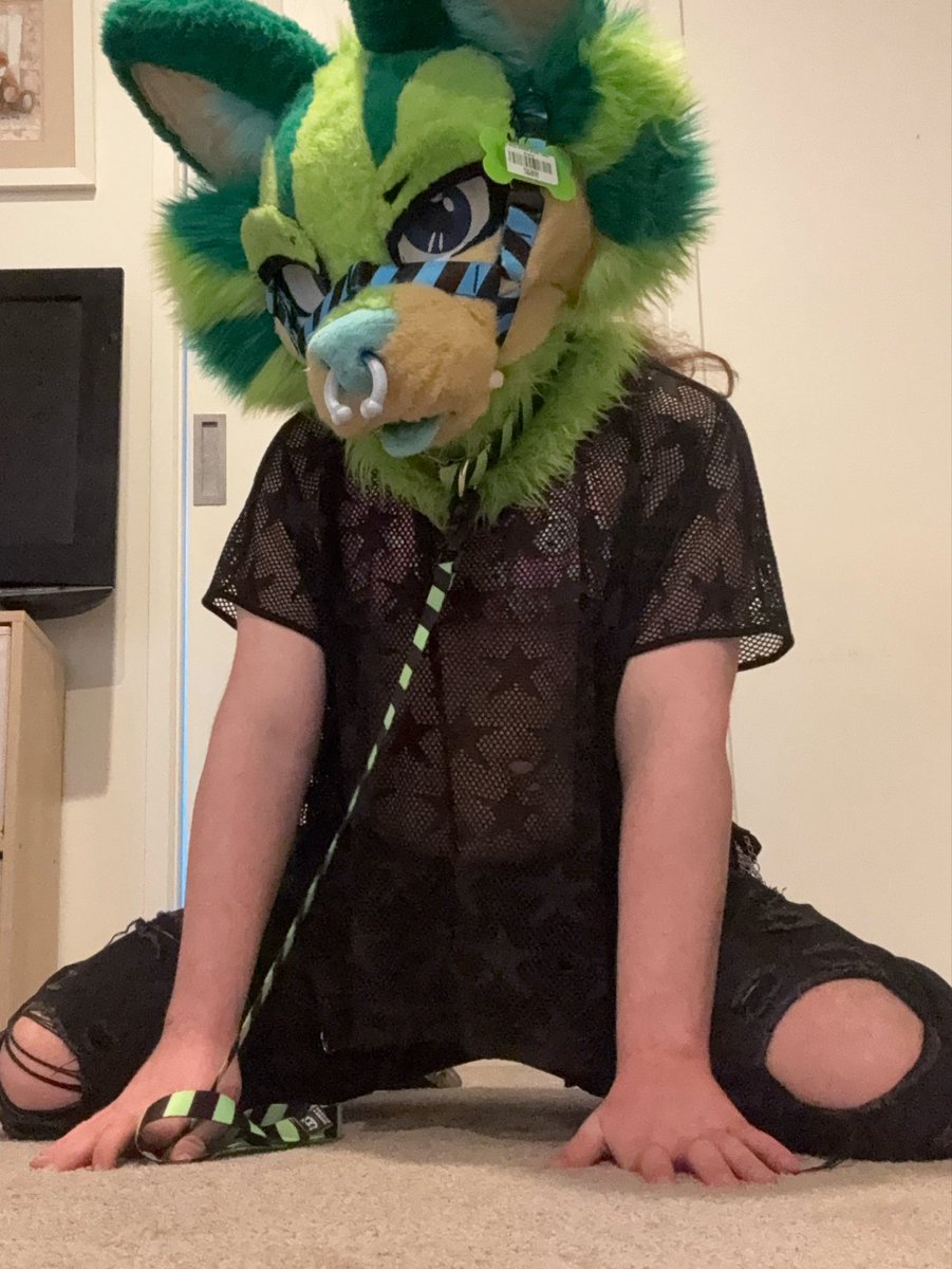only_mxlon's tweet photo. Hey lol
#furry #MDNI https://t.co/Tca6yT5DtB