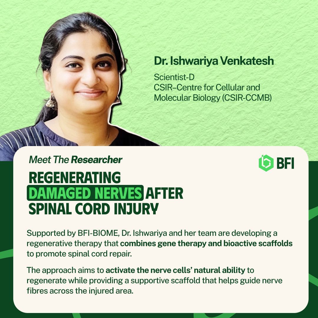 BFI_Impact's tweet photo. More than 15.4 million people worldwide were living with spinal cord injury (SCI) in 2021. For many, SCI can mean losing the ability to walk, move their hands, or perform everyday activities independently. Globally, the condition accounted for more than 4.5 million years lived with disability in 2021.

Source: https://t.co/85NIEbRG6K

Yet the biggest challenge goes beyond the initial injury. When the spinal cord is damaged, nerve cells have very limited ability to regenerate. At the same time, inflammation and scar tissue create an environment that makes it difficult for new nerve fibres to grow across the injured region. 

Despite advances in surgery, rehabilitation and experimental therapies, there is still no approved treatment that can reliably restore damaged neural circuitry and lost neurological function.

This is the challenge Dr. Ishwariya Venkatesh and her team at CSIR–CCMB are working to address, with support from BFI-BIOME.

Their approach combines gene therapy with bioactive scaffolds, two strategies designed to tackle both sides of the problem.

Gene therapy aims to enhance the natural regenerative ability of damaged nerve cells.

Bioactive scaffolds aim to create a supportive bridge at the injury site, providing structure and biological signals that can help regenerating nerve fibres grow across the damaged area.

The team will evaluate this combined approach in preclinical models of both recent and long-term spinal cord injury, studying nerve regeneration, neural connections and movement to determine whether the approach can translate regeneration into meaningful functional recovery.