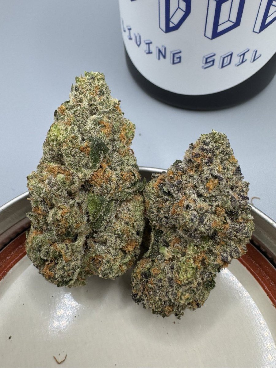 Tommyleeog's tweet photo. TOP SHELF INDOOR EXOTIC CANDY C
WEED. 100% ZAZA weed plug in LA NYC Paris France THC liquid in Riyadh Pakistan Arsenal weed in Inter Milan Italy weed in Los Angeles California
Weed plug Barcelona Madrid weed man in Miami Vatican City weed plug in Chicago Las Vegas weed https://t.co/47b8NTqPwk