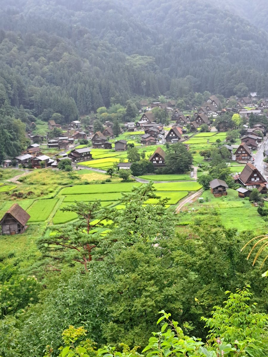 _guide_service_'s tweet photo. こんなに一日中雨が降るのは、久しぶりのように感じます。各地では大雨による災害も発生しており警戒が必要です。皆さま、どうぞお気をつけください。一方で白川郷にとっては久しぶりの恵みの雨☔️極端な大雨や厳しい酷暑が続く今年の夏。 そしてニュースでも話題となっている、御母衣ダムの深刻な渇水 https://t.co/E8URIAxNbd