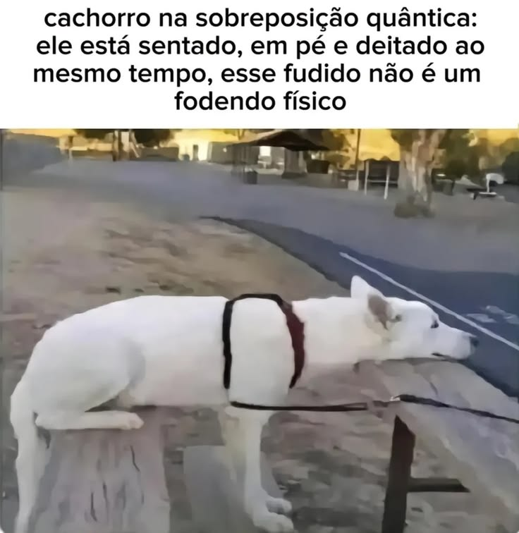 TerrorCotidiano's tweet photo. https://t.co/e2Gc9CXffY