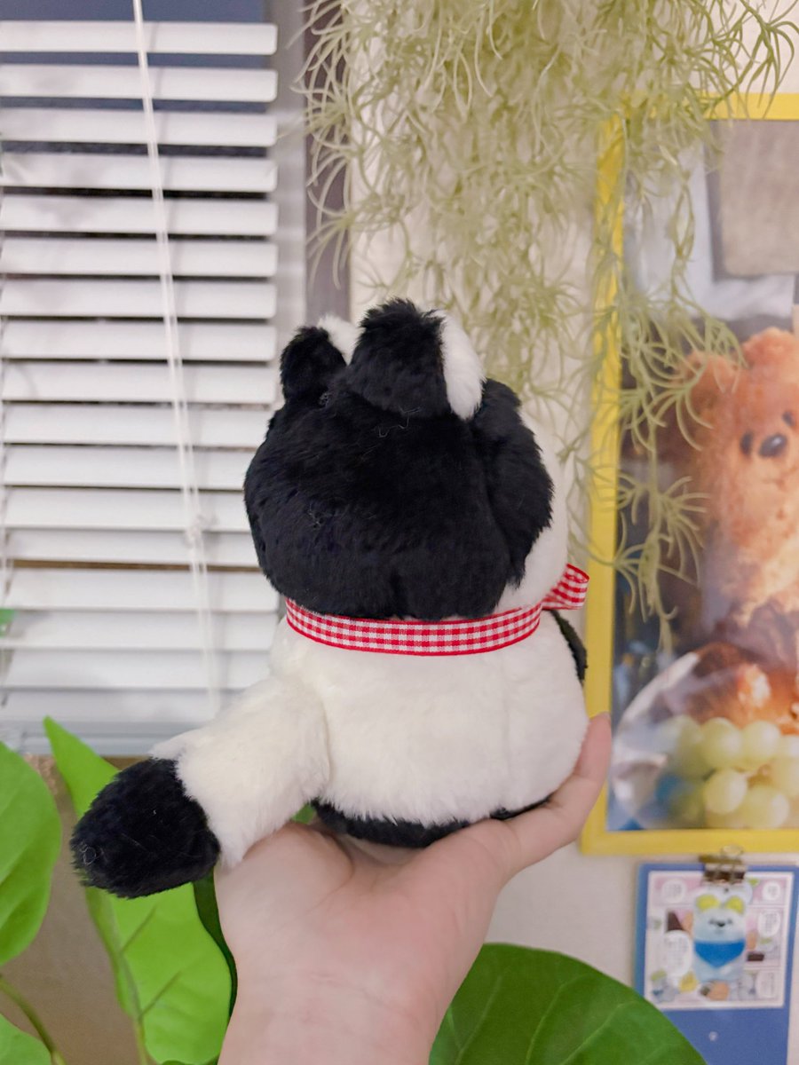 junkfoodopera's tweet photo. おにぎりちゃん https://t.co/7CntafFfFa