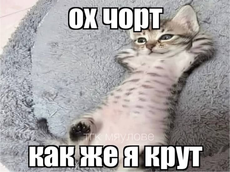 fqjasb's tweet photo. @tigress01i4 я тож https://t.co/C3LK4owMGP