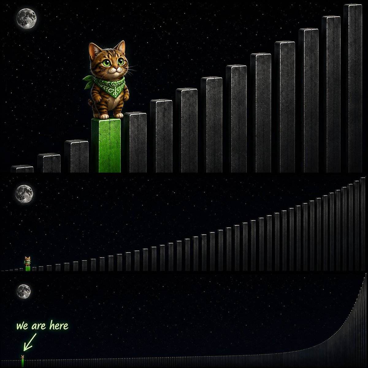 GinnanCatSolana's tweet photo. We are so early on $GINNAN's journey to billions https://t.co/tg8GfGLLAT