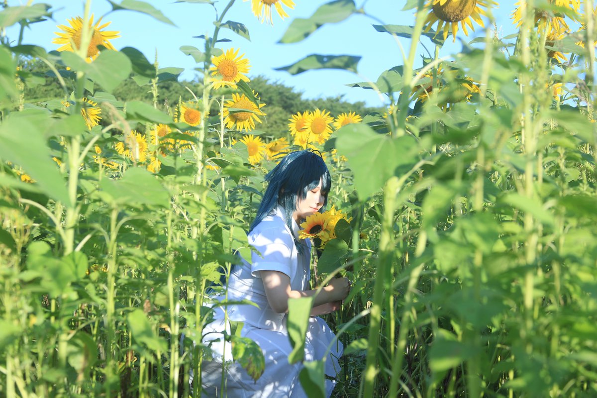 neruru_p's tweet photo. *Cosplay

学園アイドルマスター
　　　　　- 月村手毬  

Photo：@59yutaka https://t.co/17AZpSjDEP