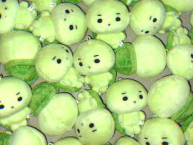 dyubugi_08's tweet photo. 코르티스 주훈 CORTIS JUHOON
10cm 거북이 인형 듀북이 재고판매

⏰ 08.28 (18:00) ~
💚 https://t.co/0sFsX3eOxF
📨 문의 메일 부탁드립니다

#JUHOON #주훈 https://t.co/X1KfiWmb3Z