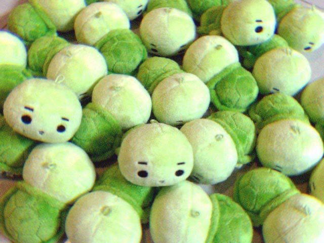 dyubugi_08's tweet photo. 코르티스 주훈 CORTIS JUHOON
10cm 거북이 인형 듀북이 재고판매

⏰ 08.28 (18:00) ~
💚 https://t.co/0sFsX3eOxF
📨 문의 메일 부탁드립니다

#JUHOON #주훈 https://t.co/X1KfiWmb3Z