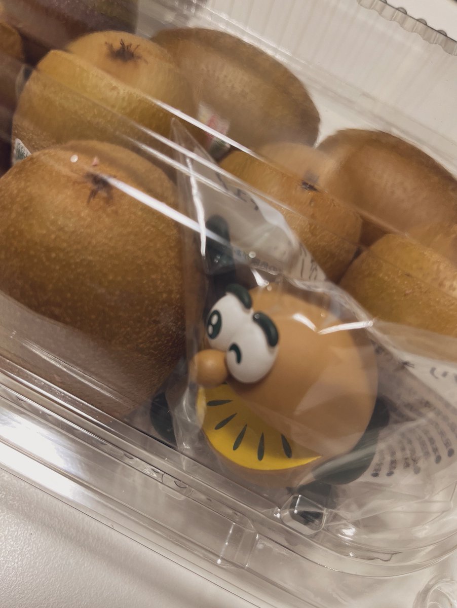 chocola_tan's tweet photo. スーパー行ったらあったから買ってしまったゼスプリ🥝 https://t.co/ZWONUl4tqw