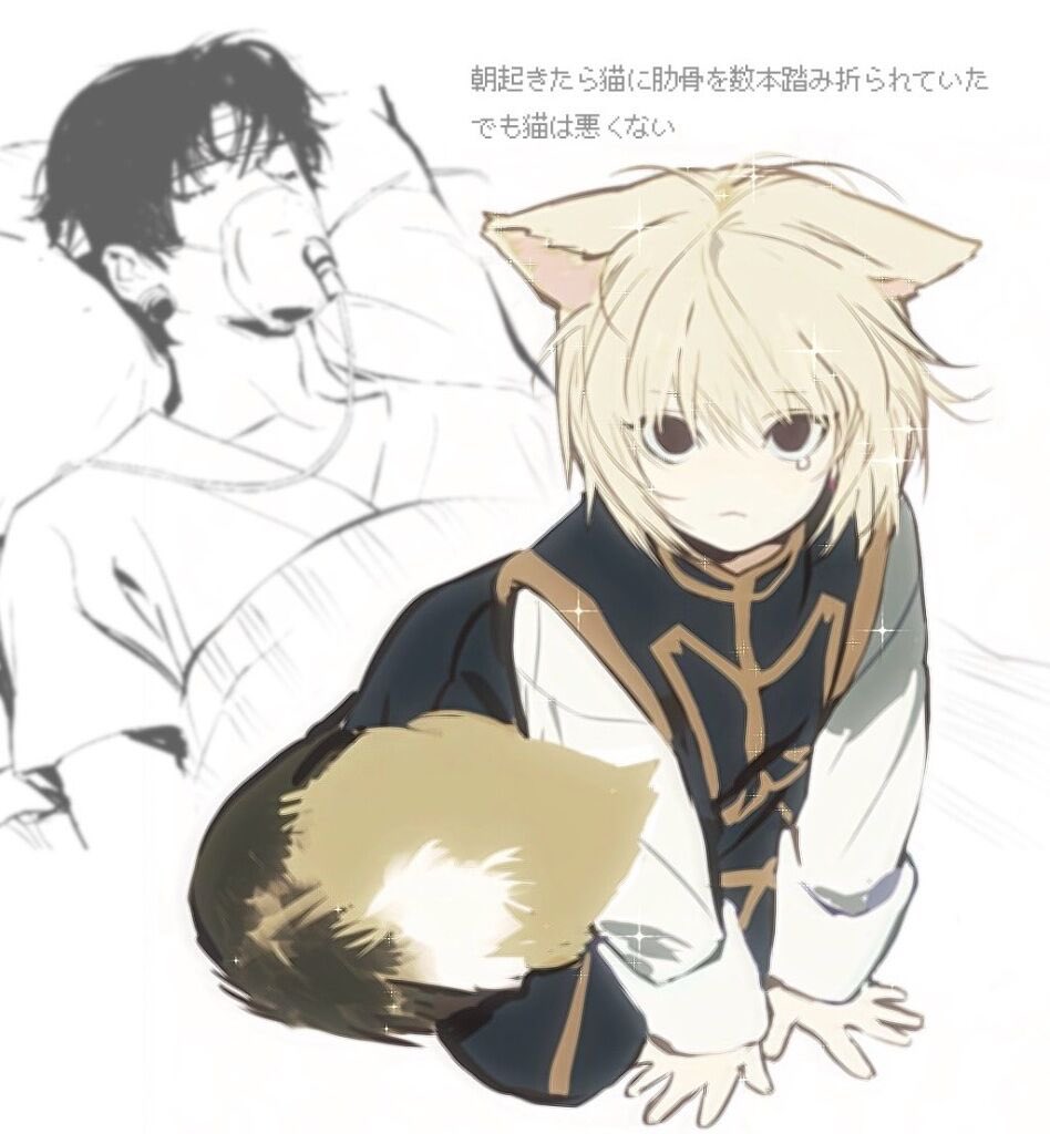 genki09040's tweet photo. 再揭 https://t.co/dVBKYsTeJR