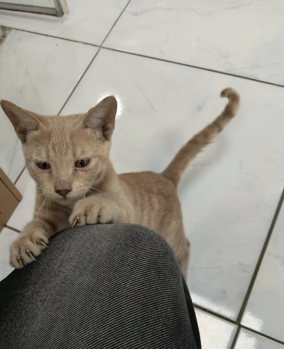 Ja3boook's tweet photo. بتيجي تطمن عليا كل يوم😍 https://t.co/rjRoJau8lo