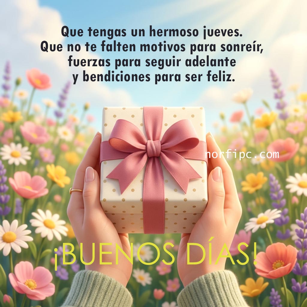 FrasesNorfiPC's tweet photo. ¡Buenos días!
Que tengas un hermoso jueves. Que nunca te falten motivos para sonreír, fuerzas para seguir adelante y bendiciones para ser feliz.
¡Feliz jueves!
#buenosdias
#jueves https://t.co/p0AXzSaWH7