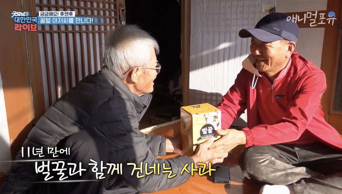 enibycosmos's tweet photo. 벌할배가 벌꿀 드리면서 사과했대요 https://t.co/FD71QFF5t7