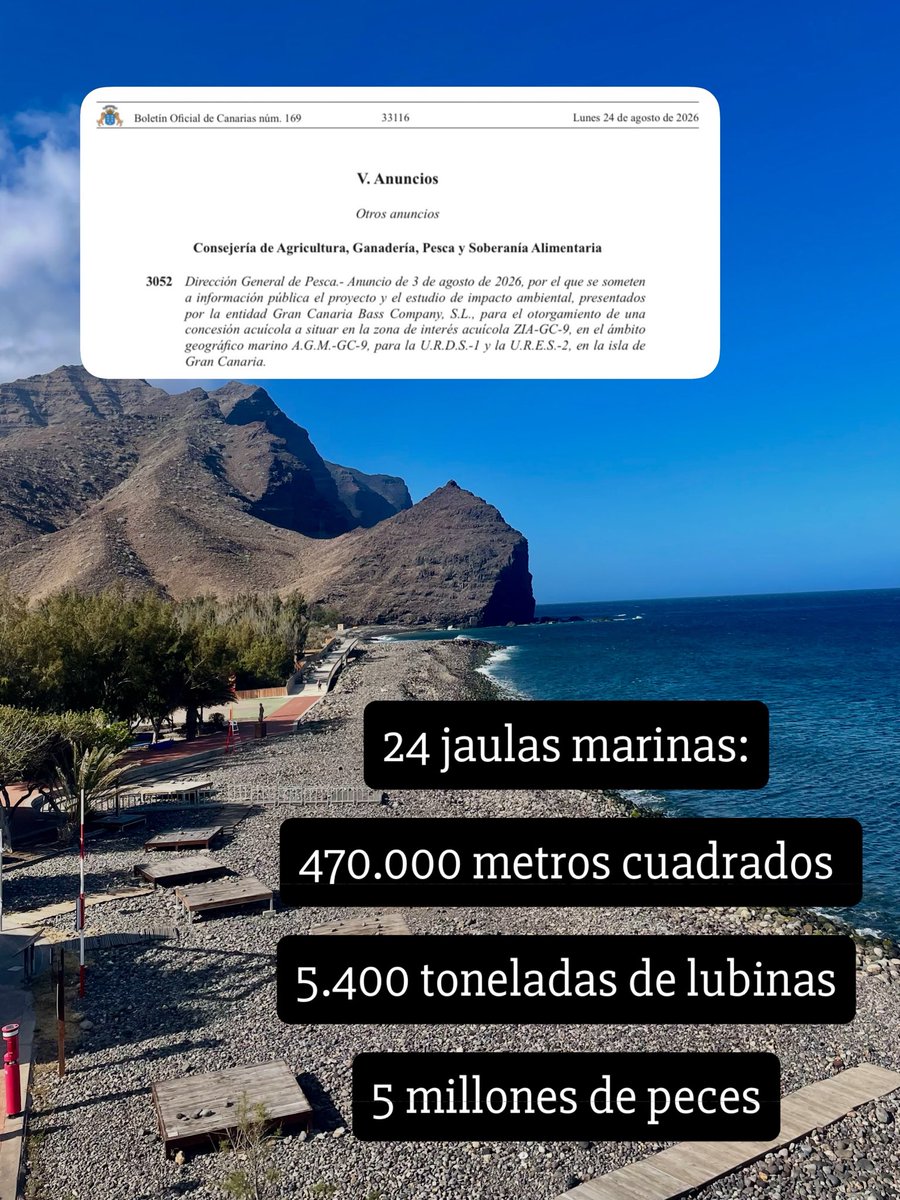 luisbmassieu's tweet photo. El más que anunciado destrozo de La Aldea de San Nicolás👇🏽 https://t.co/8q4lB4Llyr