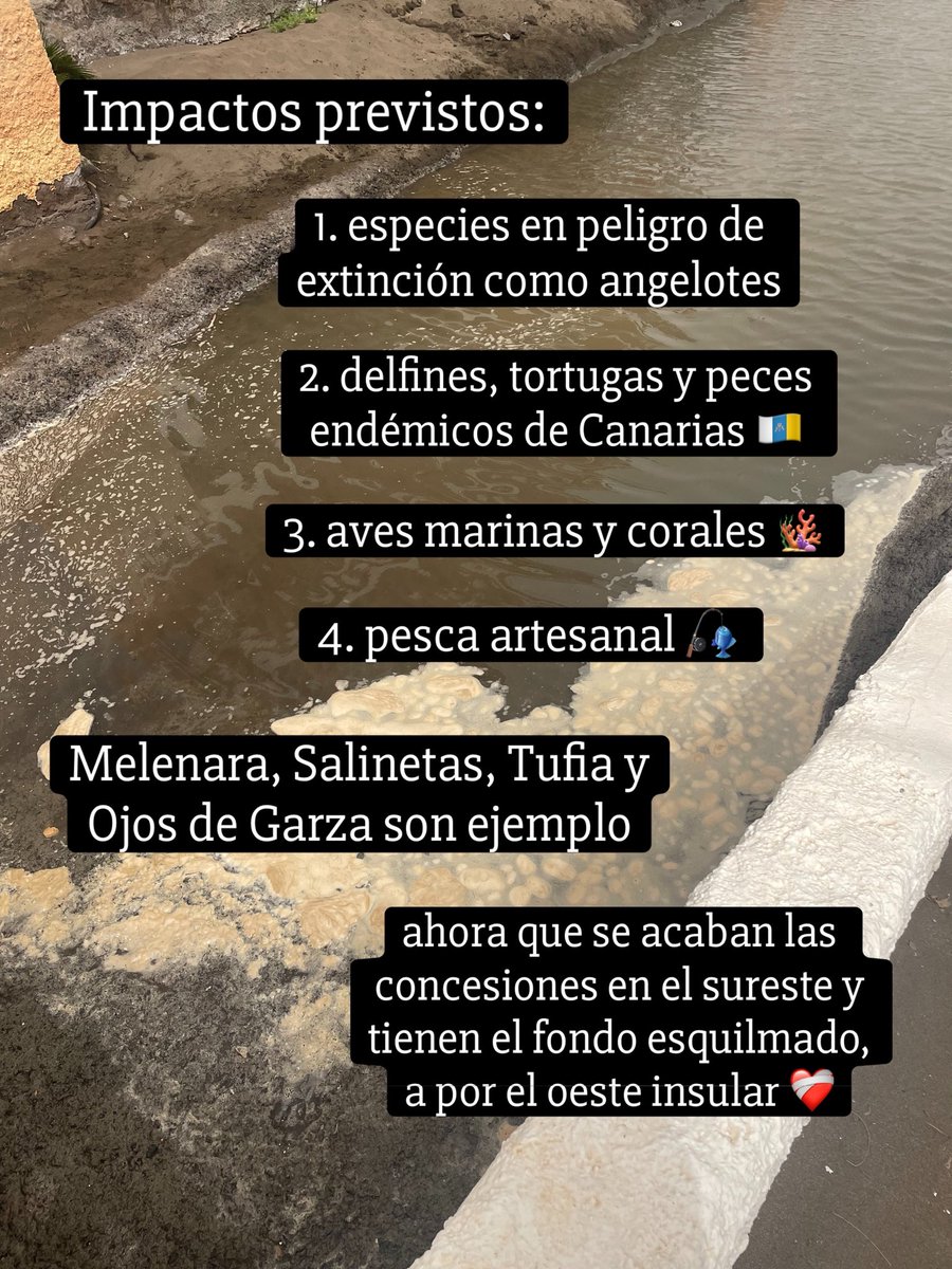 luisbmassieu's tweet photo. El más que anunciado destrozo de La Aldea de San Nicolás👇🏽 https://t.co/8q4lB4Llyr