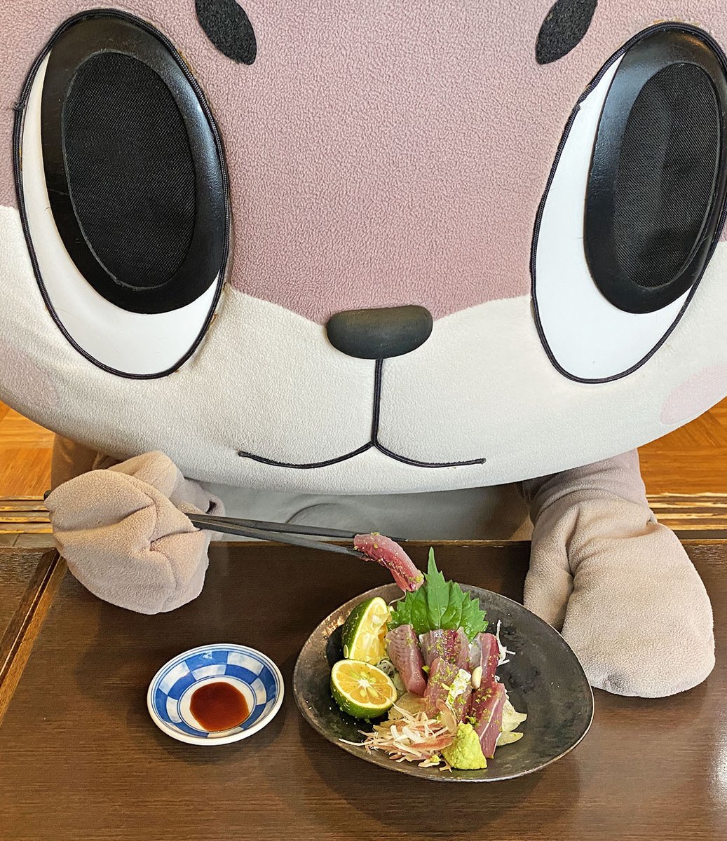 susaki_city_PR's tweet photo. ÒㅅÓ。)ﾉそうそうカツオといえば。。高知のこのあたりはマルソウダガツオの幼魚を「メジカの新子」ってよんでて、これがすさまじくおいしいよー☆とったその日じゃないと痛んじゃうから高知県外じゃほぼ食べられないし知られてないまぼろしの魚だよー☆ https://t.co/dioSvj2y51
