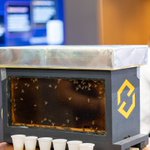 Photo by CRYPTON | Crypto, AI & Markets (@cryptonxyz)