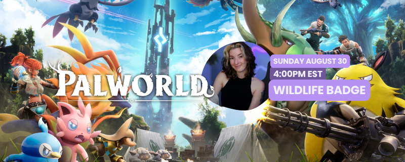 missefinesse's tweet photo. OFFICIALLY THE LAST DAY OF CAMP! @noctisnexusttv will be streaming Pal World @ 4PM EST! We are partnering with @QuestlineGuild to fundraise for @bwforg from Aug 24-30! πβ¨ See you soon at camp! #CampWeek2026 https://t.co/wnihkSai6q