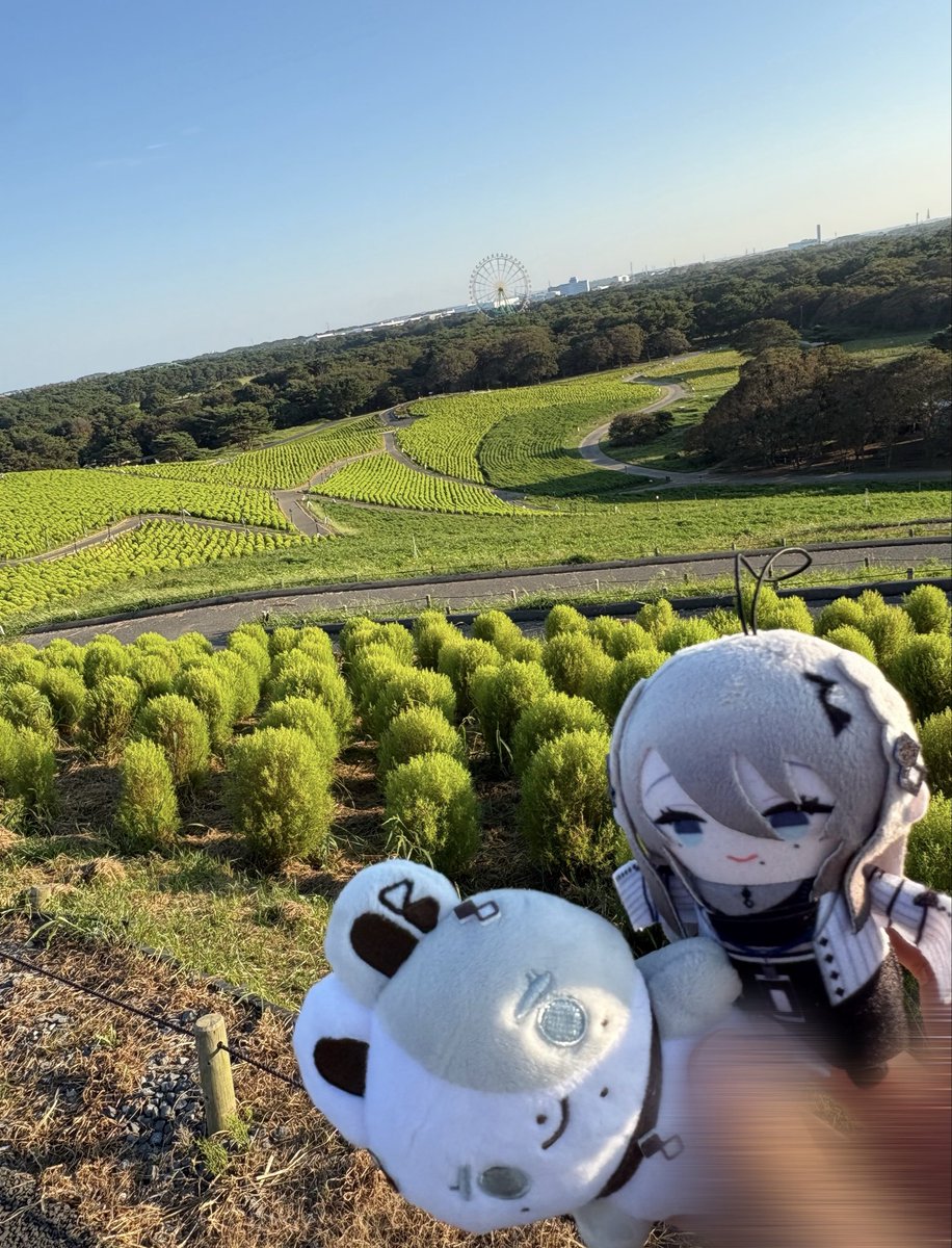 RATE8_0024's tweet photo. 2泊3日茨城旅行楽しかった！！✨
とにかく景色が良かった！自然豊かで食べ物も美味しいものばっかり！メロン大好物だから食べすぎちゃった…🍈
水族館もサメが多くてびっくり😳
でも1番印象に残ったのは間違いなくバンジーでしたw
次はどこの都道府県に当たるかな〜 https://t.co/Plv6FTgV4E
