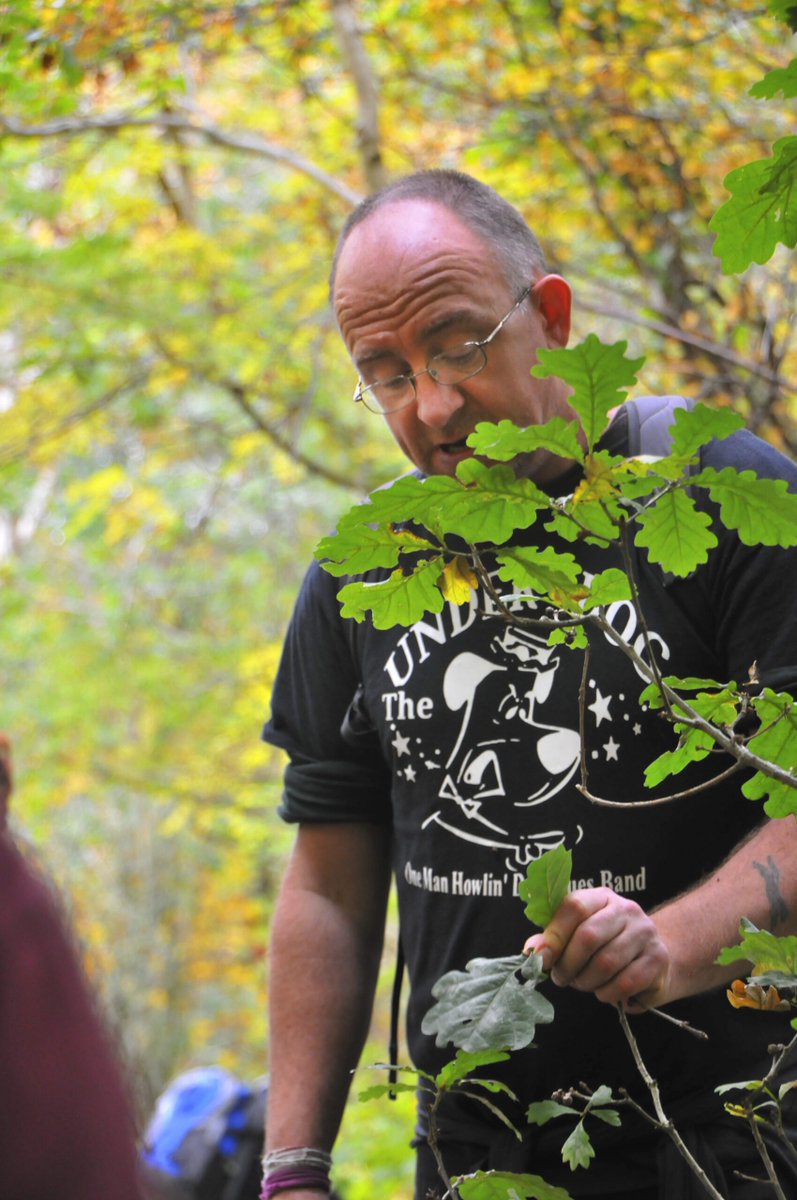 ArleyHall's tweet photo. Guided Autumnal Walks
Saturday 19th September 

These autumnal investigation walks are lead by experienced guide Fungal Punk Dave and focuses on Fungi, Galls, Life Under Logs, the odd bloom, a few birds and hopefully a few late insects.

BOOK NOW:
https://t.co/finFazQIHR https://t.co/tzfHbMEWZO