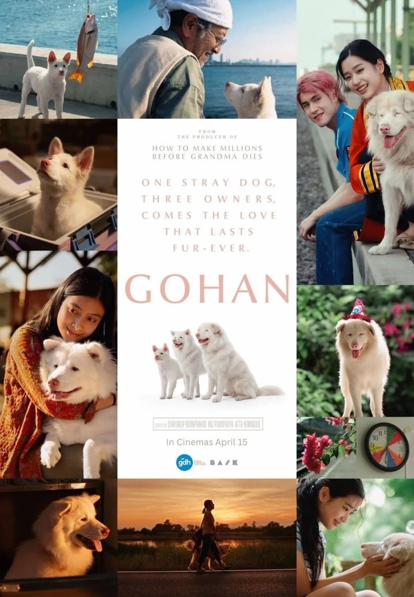 HabisNontonFilm's tweet photo. GOHAN udah rilis di Netflix!

Film anjing produksi GDH. Anjingnya gak mati, tapi kamu tetep bakal nangis nontonnya 😭 https://t.co/PtjhEsX7bG