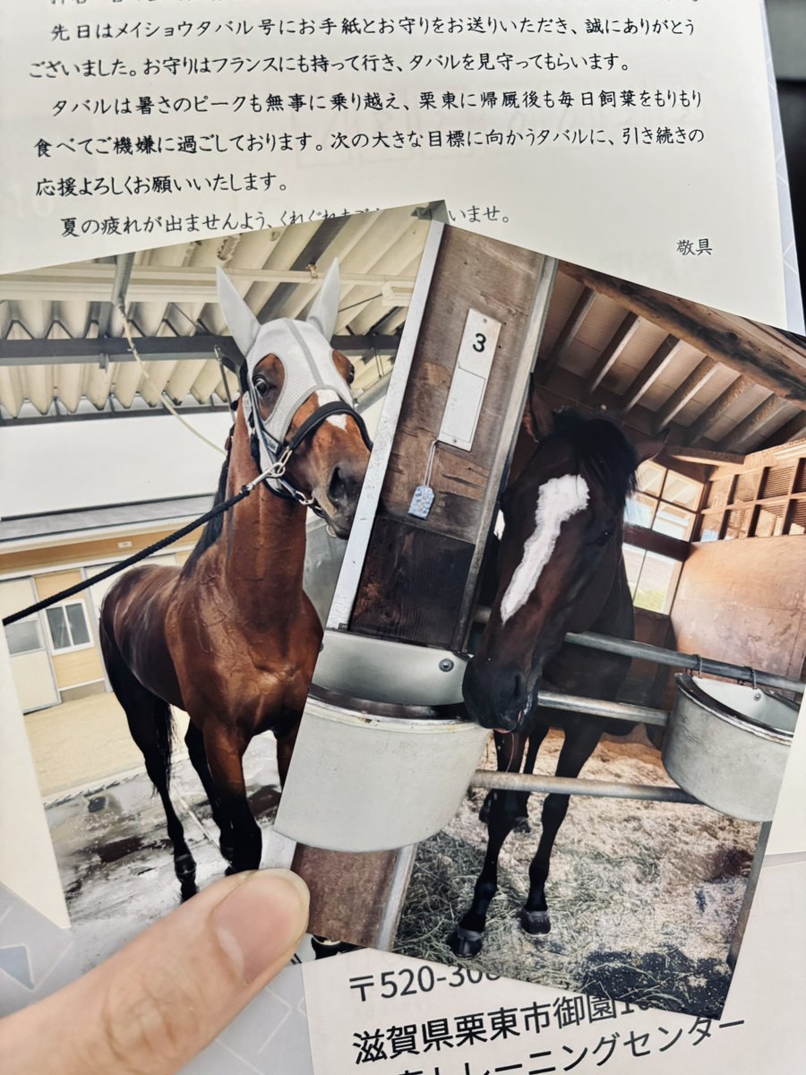 Nito_OT2TO's tweet photo. 凱旋門賞現地まで行けないからお守り添えて手紙出したら返事きた😭😭😭😭
家宝にします😭😭😭😭😭 https://t.co/h8iD3MoUin