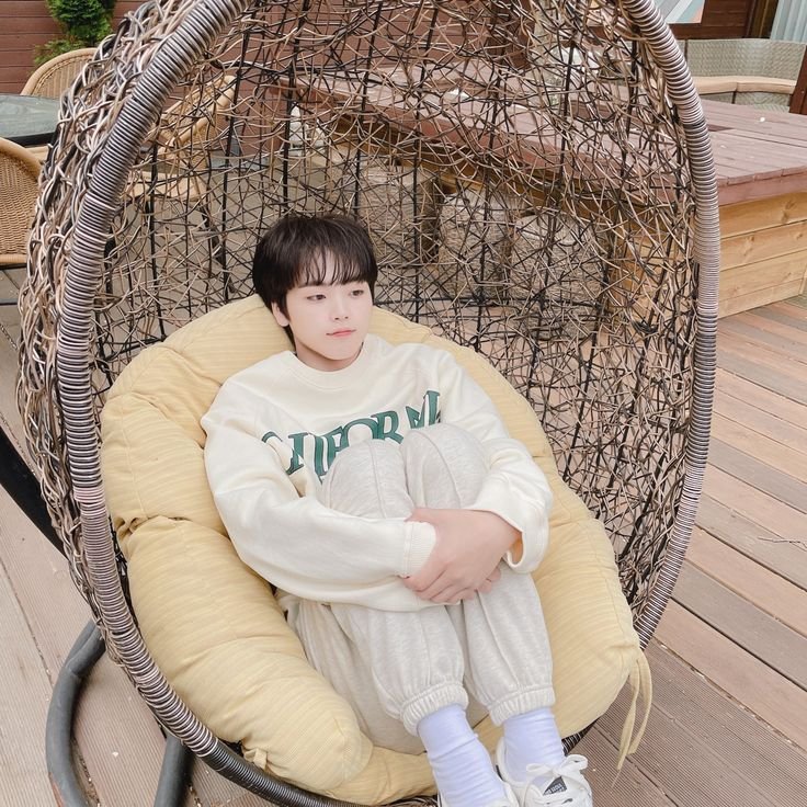 appleblossom414's tweet photo. 버드네스트 체어에 앉아있는 강아지들 https://t.co/59klMO7tI3