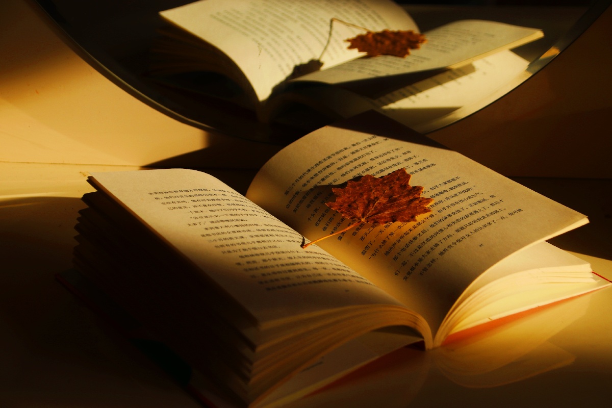 camed061322's tweet photo. Just finished The Midnight Library—what a beautiful reminder that every choice shapes our story. If you’re craving a quick, heart-stirring read, this one’s for you! https://t.co/vexj2fzXGE