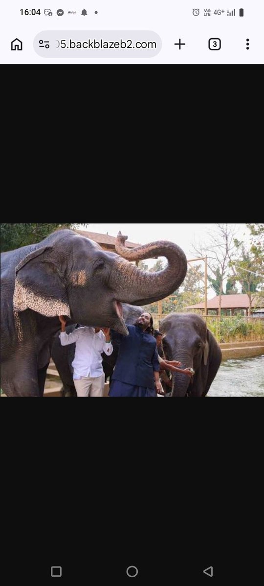 DolanBiswas9's tweet photo. #AnantWildlifeMission Anant Ambani's dedication to habitat-first conservation reflects a visionary approach, ensuring animals thrive in their natural homes while fostering a sustainable and globally conscious future for wildlife. https://t.co/ufEP4FR4OH