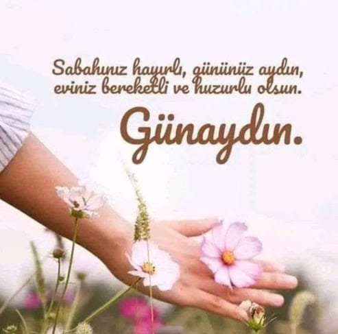 serifozsuTR's tweet photo. @serkan_060 https://t.co/aH28vhwePQ