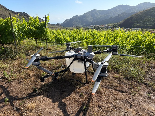PequenasDos's tweet photo. La Pequeñas D.O.’s @CanaryWineDOP , @RibeiraSacra_  y @doqpriorat  participan en la viticultura del futuro, en un proyecto conjunto dirigido a impulsar la modernización de la viticultura en fuerte pendient https://t.co/CaTRITBYXL
