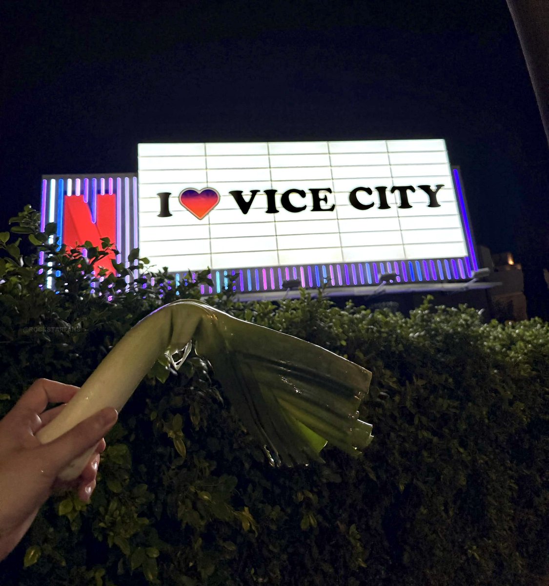 GTAVI_Countdown's tweet photo. A fan holding a leek at the Netflix x GTA 6 billboard in LA. https://t.co/aiX0uDCd6t