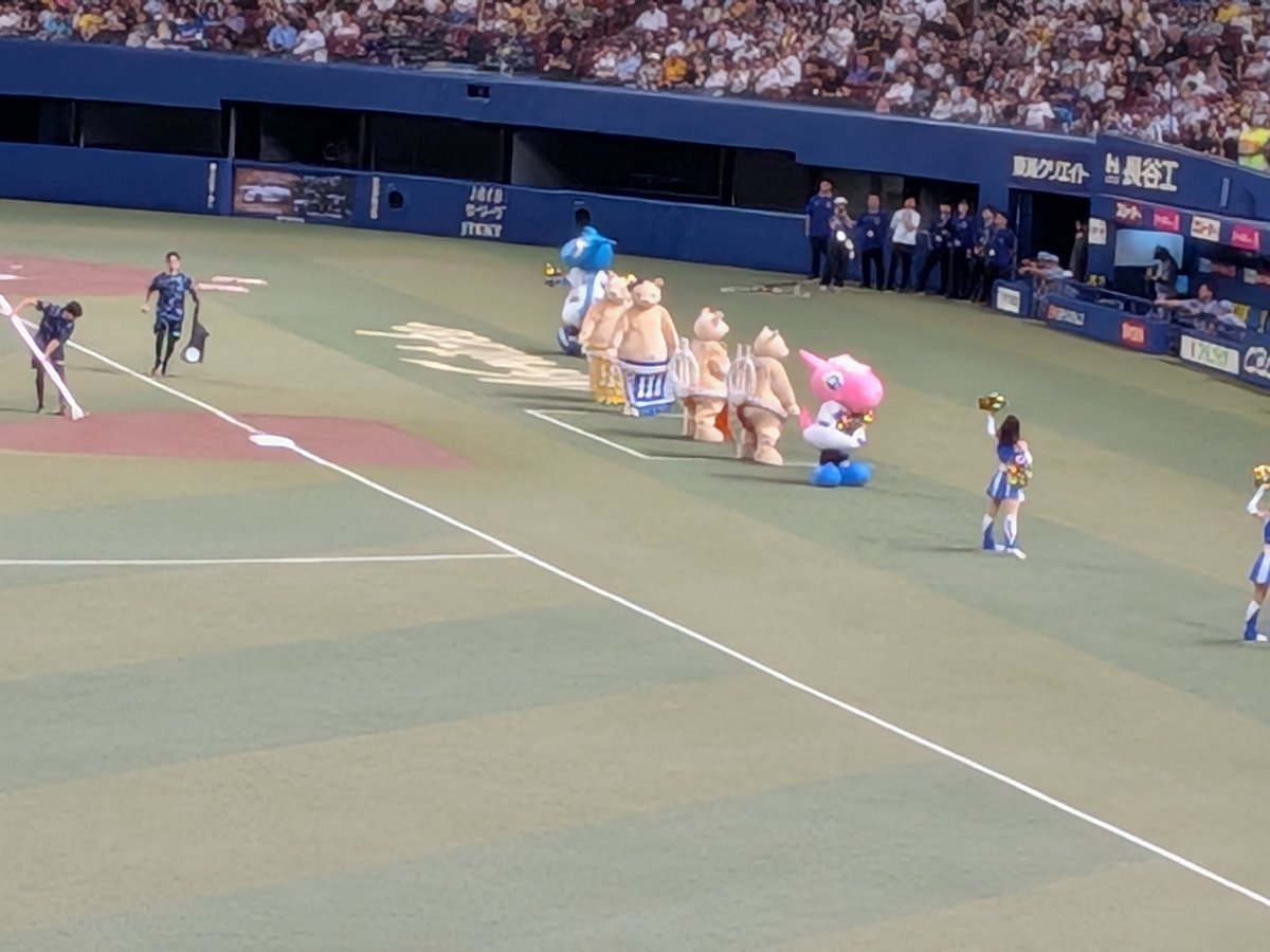 nishio00000024's tweet photo. ぶーちゃんきゃわわ https://t.co/3Uex1CzHJf