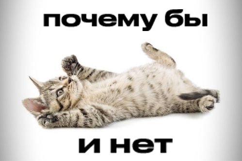 fqjasb's tweet photo. Люди если вы видел меня в реках, напишите пжж 
тут все такие вайбовык, давайте дружить https://t.co/YjmSeXuc5h