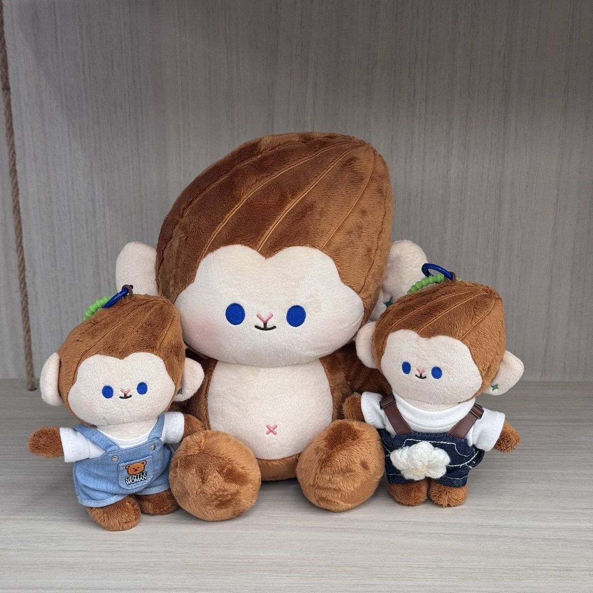 february_gb's tweet photo. 𝐖𝐞 𝐚𝐫𝐞 𝐟𝐚𝐦𝐢𝐥𝐲 ♡ 🐒🦖🤲🏻
#GEMMHOUSE #PONPON #REXXA https://t.co/iKxc2pg7TO