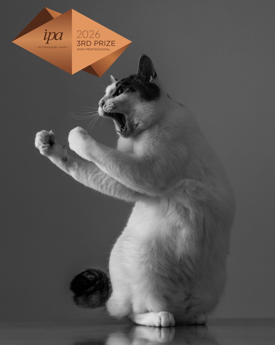 kazutoshi_ono_'s tweet photo. ニューヨーク発の世界的権威のある国際写真コンテスト、IPA（International Photography AwardsのNon-Professional Special/Pets部門において、ウチのジン君が世界第3位を獲得！！！
ジン君、君は本当にとってもスゴい子だよ！！！ https://t.co/8YZjoksliZ