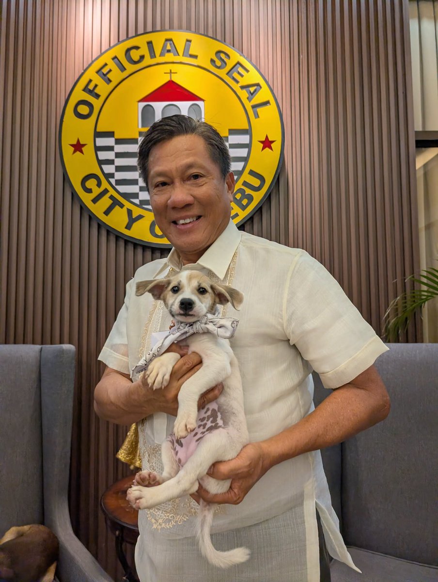 cebudailynews's tweet photo. 170 RESCUED PETS FIND HOMES 

LOOK: Cebu City Mayor Nestor Archival reported a rising number of rescued pets who have found new homes, with 170 dogs and cats adopted from January to August 2026. 

In a social media post, Archival said the figure has already surpassed the total number of adoptees recorded annually in the past, and is a 360-percent increase in adoptions from the 37 adoptions in 2025. 

He also encouraged Cebuanos to adopt and be responsible pet owners, ensuring they are vaccinated, properly cared for, and spayed or neutered. 

“If you are thinking of getting a pet, don't shop. ADOPT,” Archival said, thanking adopters, foster families, volunteers, and donors, including an anonymous one who gave three sacks of dog food to the Cebu City Department of Veterinary Medicine and Fisheries. | Vhenna Marie Mantilla #CDNDigital 

 📷: Nestor Archical/FB