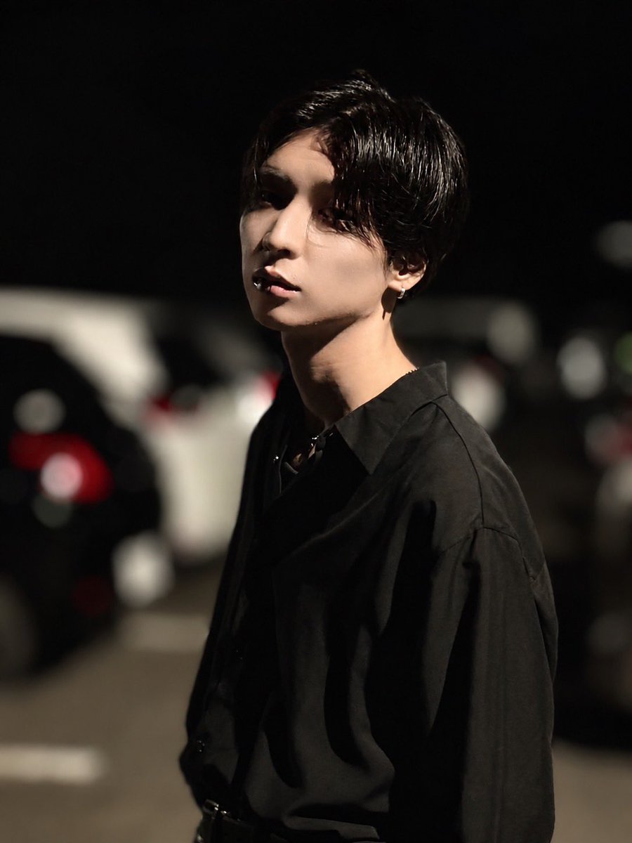 Twinkle_model tweet picture
