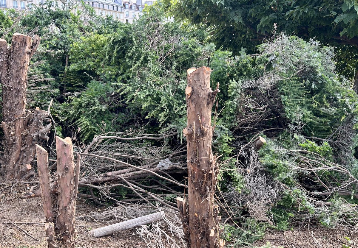 DuprDominique2's tweet photo. 😱 🌳 LE CARNAGE La destruction du #jardin du Mémorial des martyrs de la déportation, inauguré par De Gaulle en 1962, avance très vite. #Paris est une ville qui a une #histoire : il semble bien que la mairie ait décidé de l’effacer, au moment des commémorations de sa libération. https://t.co/1SL1O1Pwq9