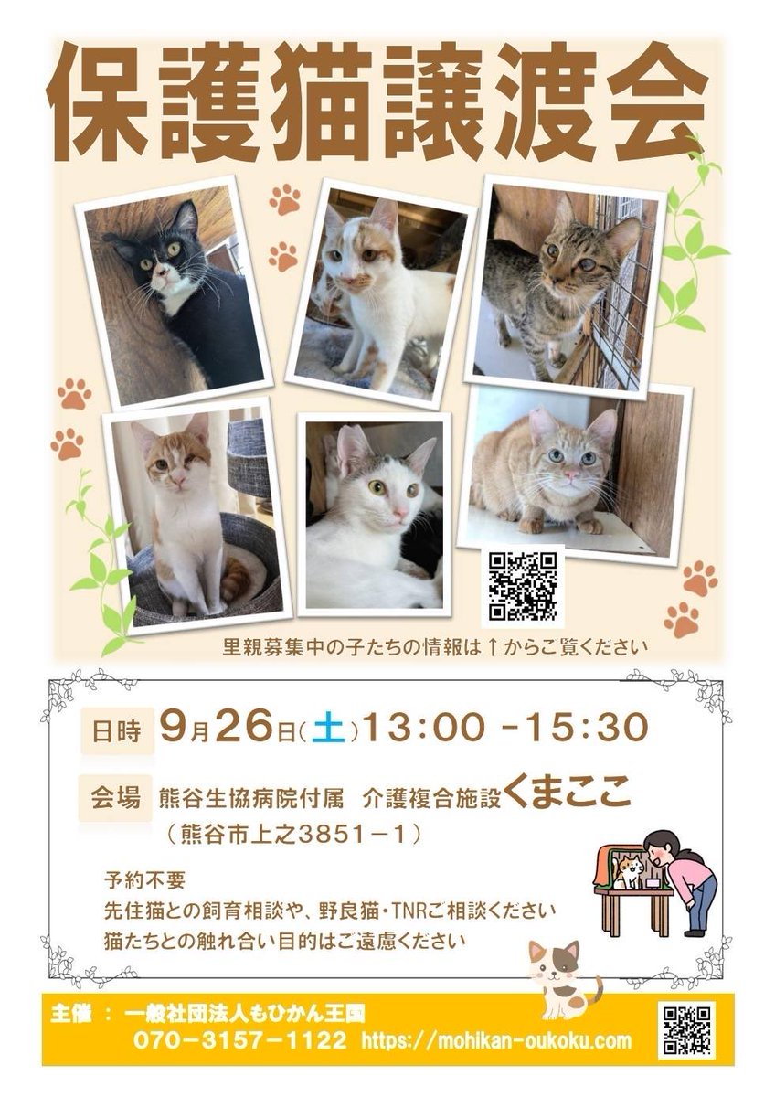 mohikan_oukoku's tweet photo. 【譲渡会のお知らせ】

9月26日(土) 13:00-15:30
　会場:熊谷市生協病院付属 介護複合施設内"くまここ"
　住所:熊谷市上之3851-1

猫のお迎えをお考えの方は保護猫という選択肢もあります。是非候補に加えて下さい

久しぶりの譲渡会です。皆様のご来場を猫達とお待ちしております🐈 https://t.co/bB70pHvcaO