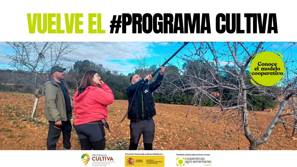 CoopsAgroCV's tweet photo. Sigue abierta la convocatoria del Programa #CULTIVA 2026 del @gobmapa. El programa ofrece estancias formativas gratuitas para jóvenes profesionales en explotaciones agrícolas y ganaderas de toda España. @CoopsAgroES y sus FUTs son entidades colaboradoras. (1/2) https://t.co/To80eI3KSw