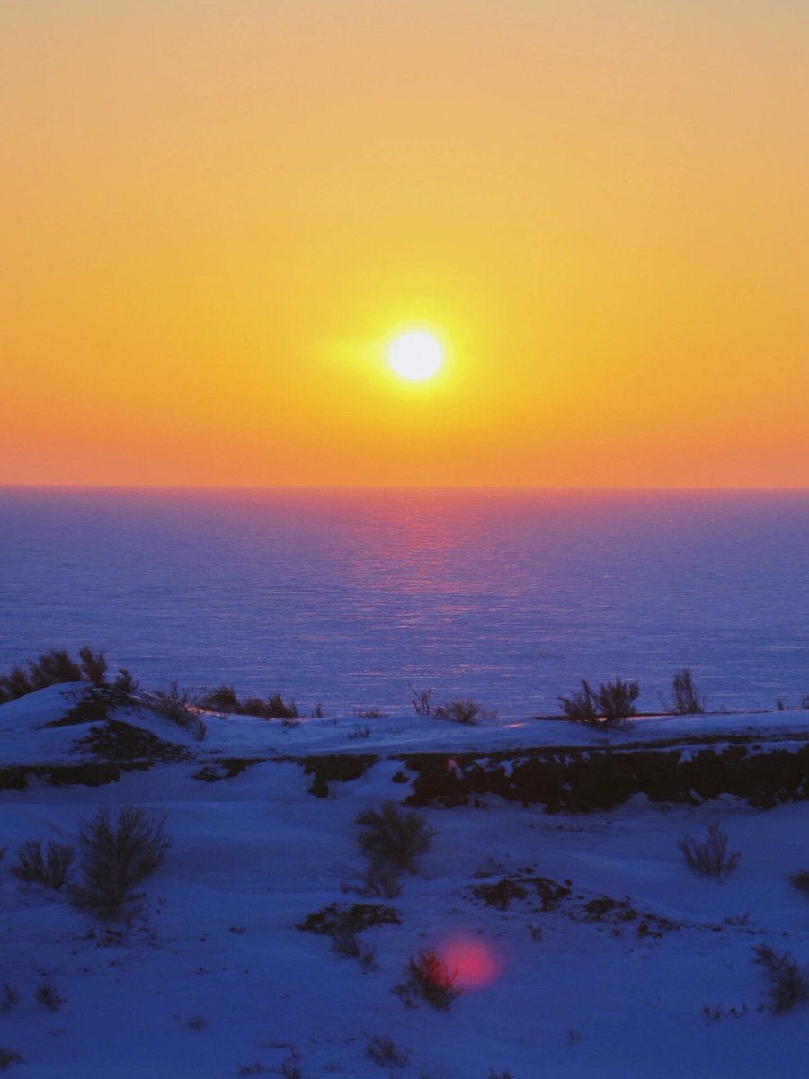 honer962611's tweet photo. Join our campus photography club's sunset shoot this Friday 5PM at the lake! All skill levels welcome—bring your gear or just eyes to capture golden hour vibes, plus free snacks! https://t.co/4PEYthkZhk