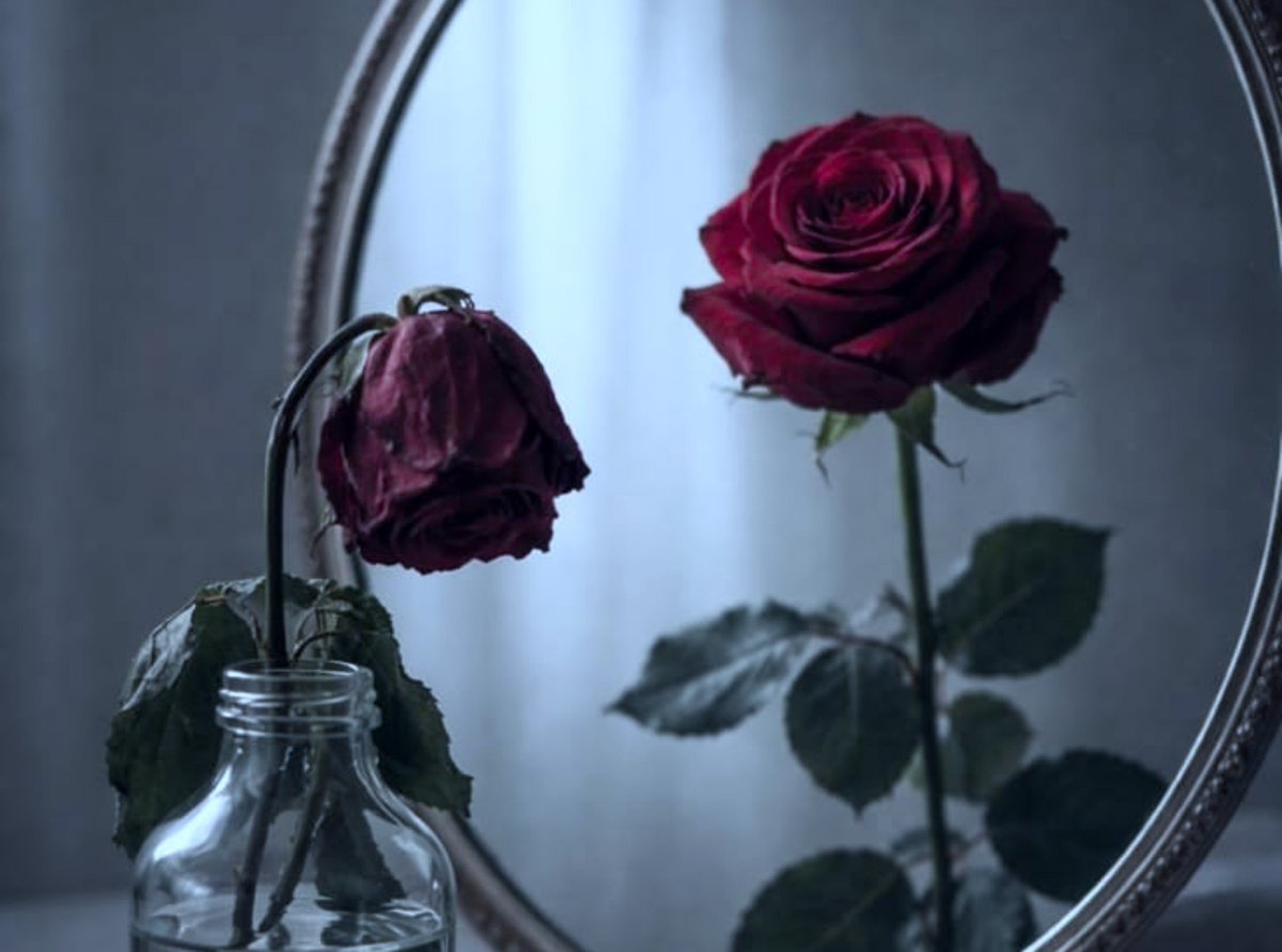 Aii_audhi's tweet photo. Late Bloom Omega
#Noren A/B/O AU

Rain itu beta, punya teman Alpha yang emang udah deket banget dari bayi. Tapi apa benar kata temannya yang gila fantasi dia bakalan berubah jadi Omega karena terlalu lama di dekat Lingga?

or

Rain, yang pelan-pelan berubah jadi Omega di usia 18 https://t.co/MaZrGXa6Et