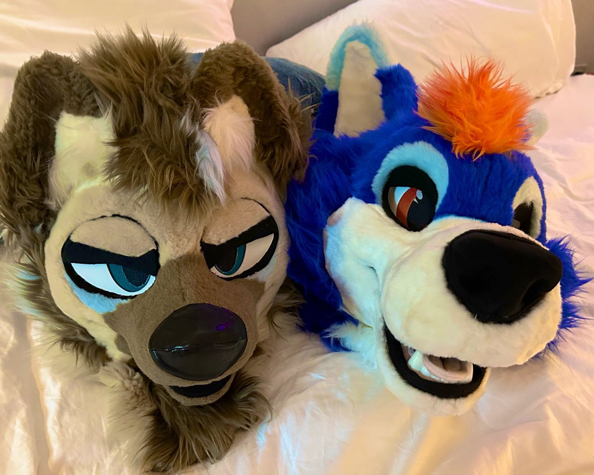 FanboyWuff's tweet photo. Locked in vs geeked. https://t.co/nVMJl2kqPH