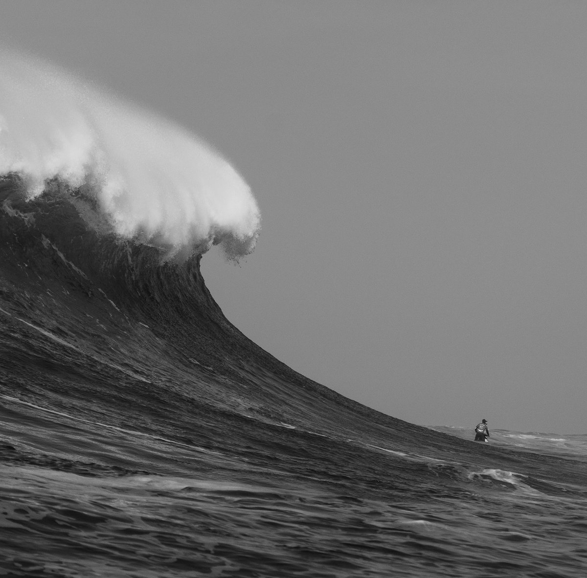 SURFSlab tweet picture