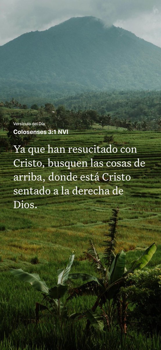 samramirez1's tweet photo. https://t.co/5IZuHNU6Ba