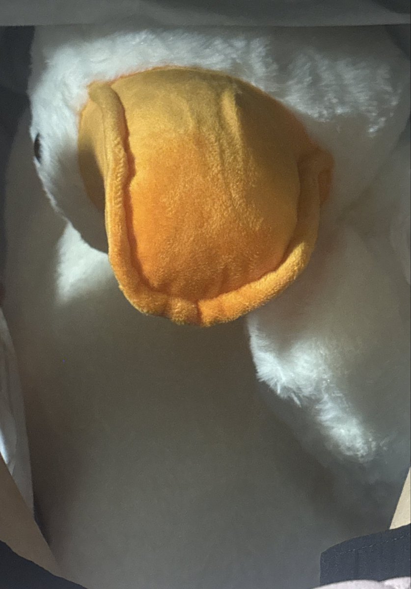 AneM3one's tweet photo. UFOキャッチャーでとったけどあまりに下手すぎて全然取れなくて見かねた店員さんがほぼ落ちてる状態にしてくれたwwww取れたからおっけーだよね🎶🎀 https://t.co/7JyMGzBNov