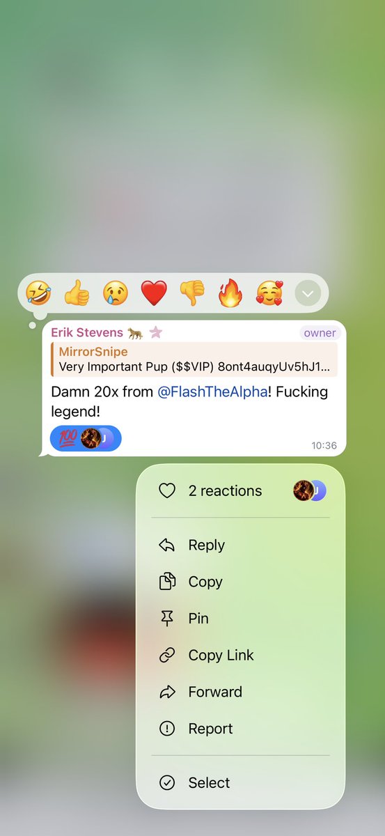 FlashTheAlpha's tweet photo. @HopiumPapi, the GOAT: “Damn, 20x from @flashthealpha. Fucking legend!”

Winning in this space comes down to having the right tools, finding the right tokens, and moving at the right time.

Create an account on https://t.co/zqYtOXCtXt and load up the @mirrorlinkio bot.

HMU VIPs https://t.co/mbiYVxG7Ry